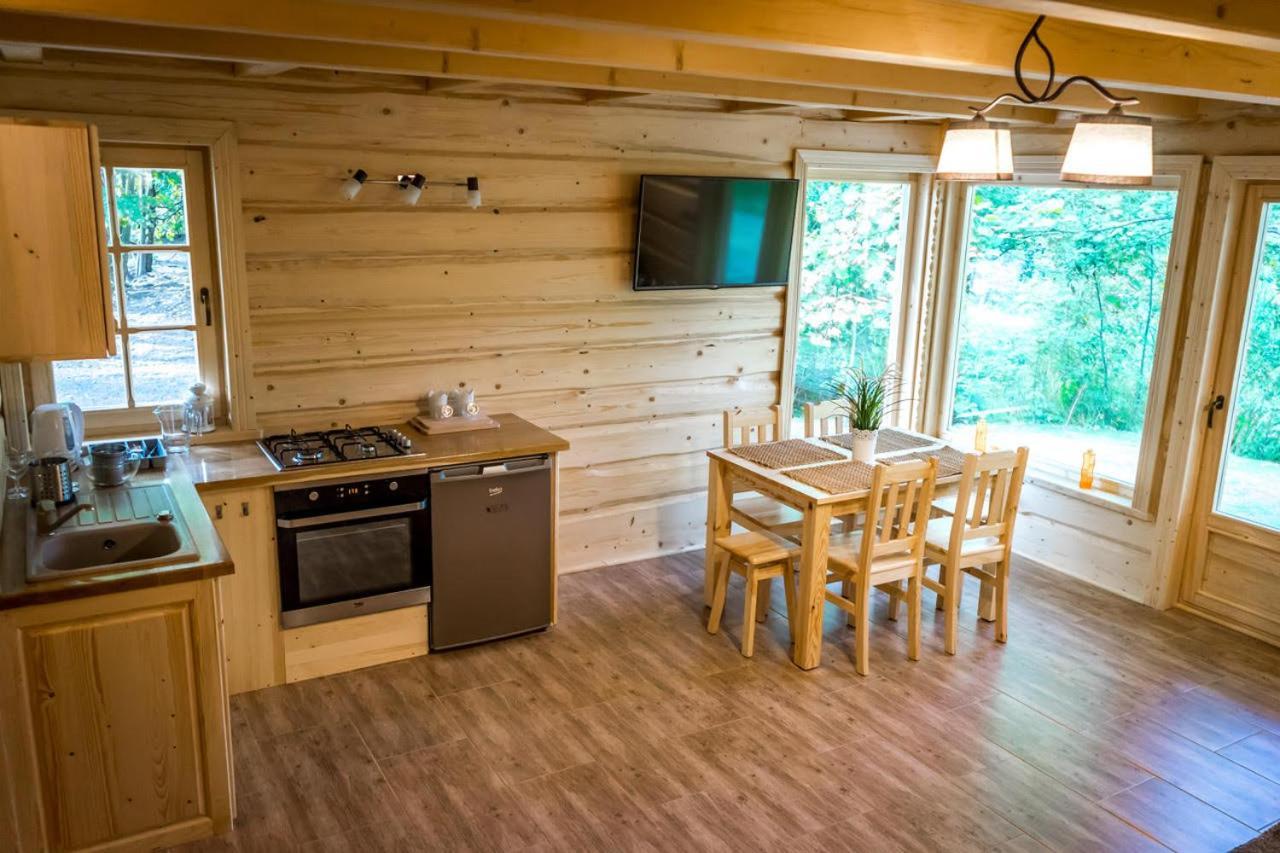 Sucholand Villa Miedziana Góra Екстериор снимка