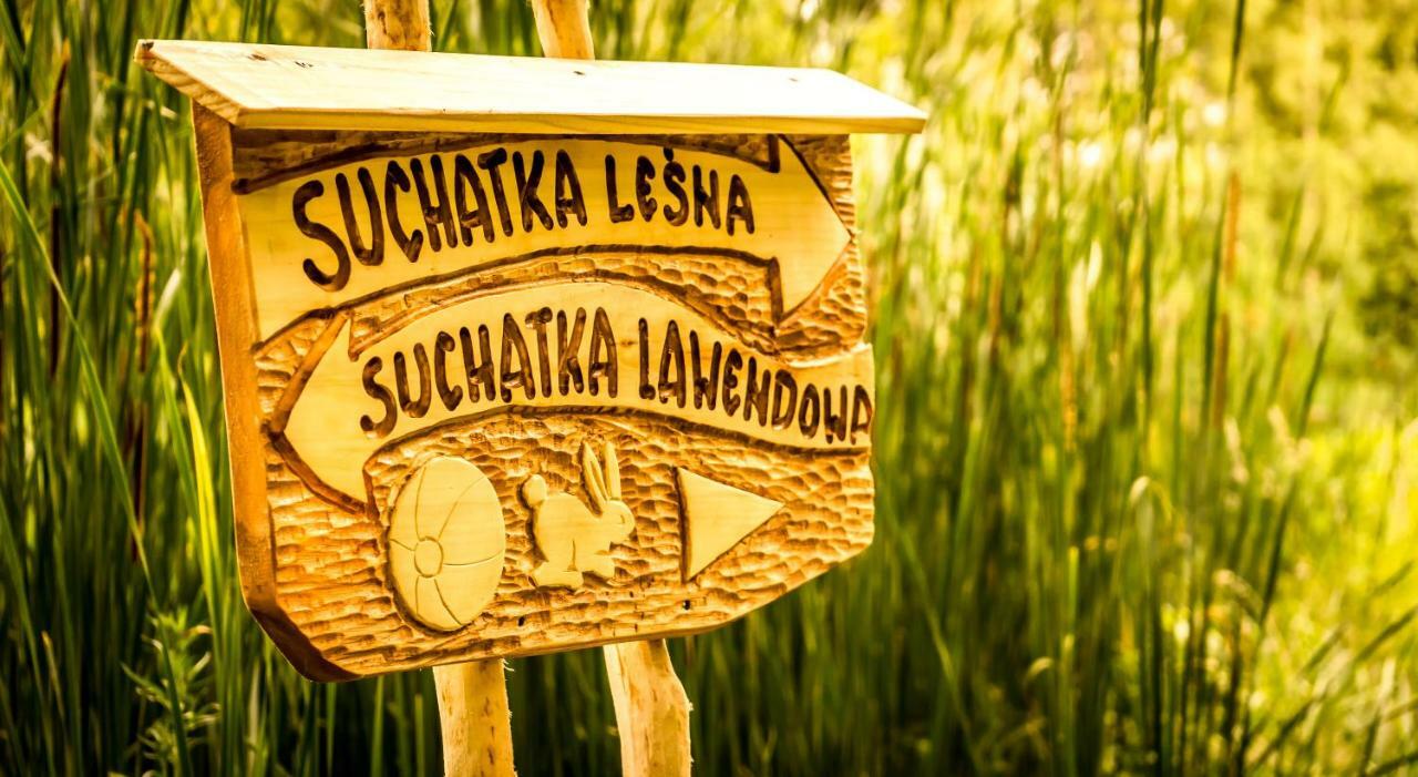 Sucholand Villa Miedziana Góra Екстериор снимка