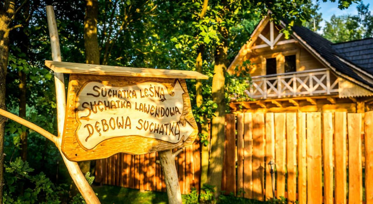 Sucholand Villa Miedziana Góra Екстериор снимка